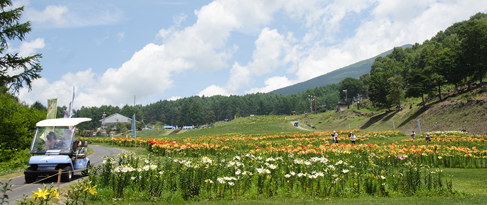 富士見高原　花の里