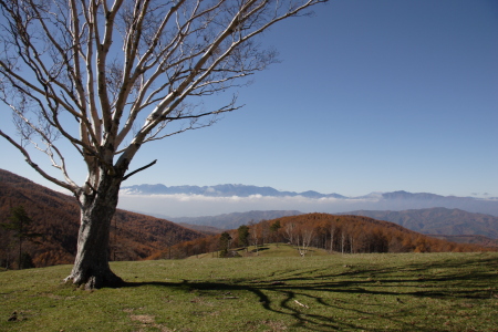 入笠山