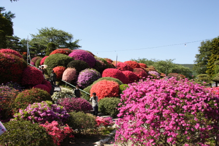 鶴峯公園