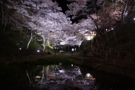 高遠城址公園