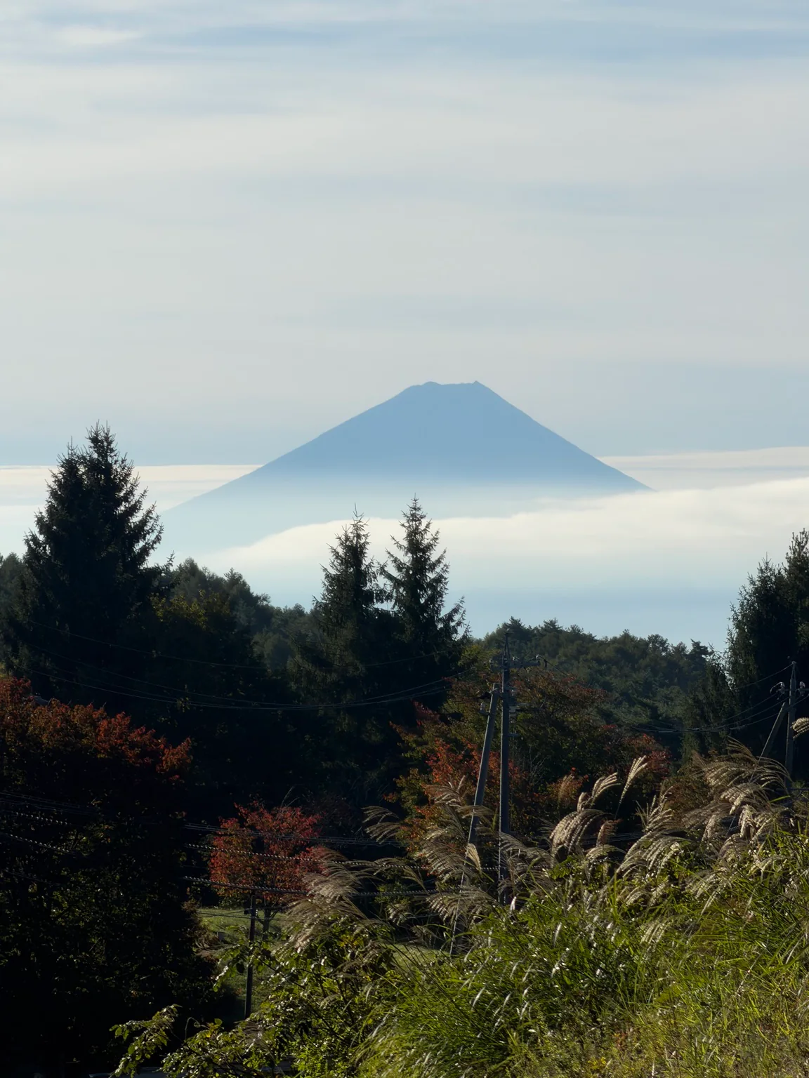 雲の向こうに浮かぶ富士山