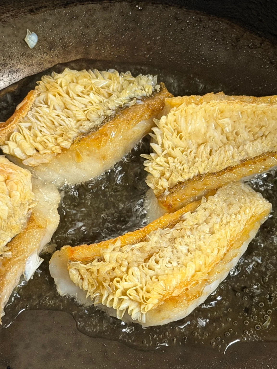 甘鯛
