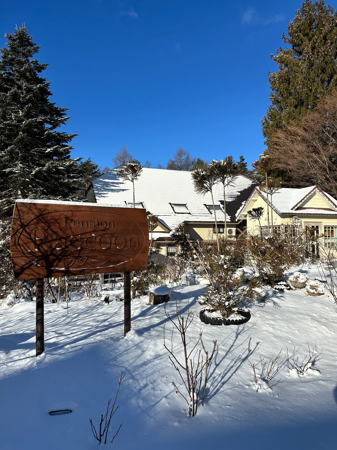 雪晴れのペンション・ラクーン