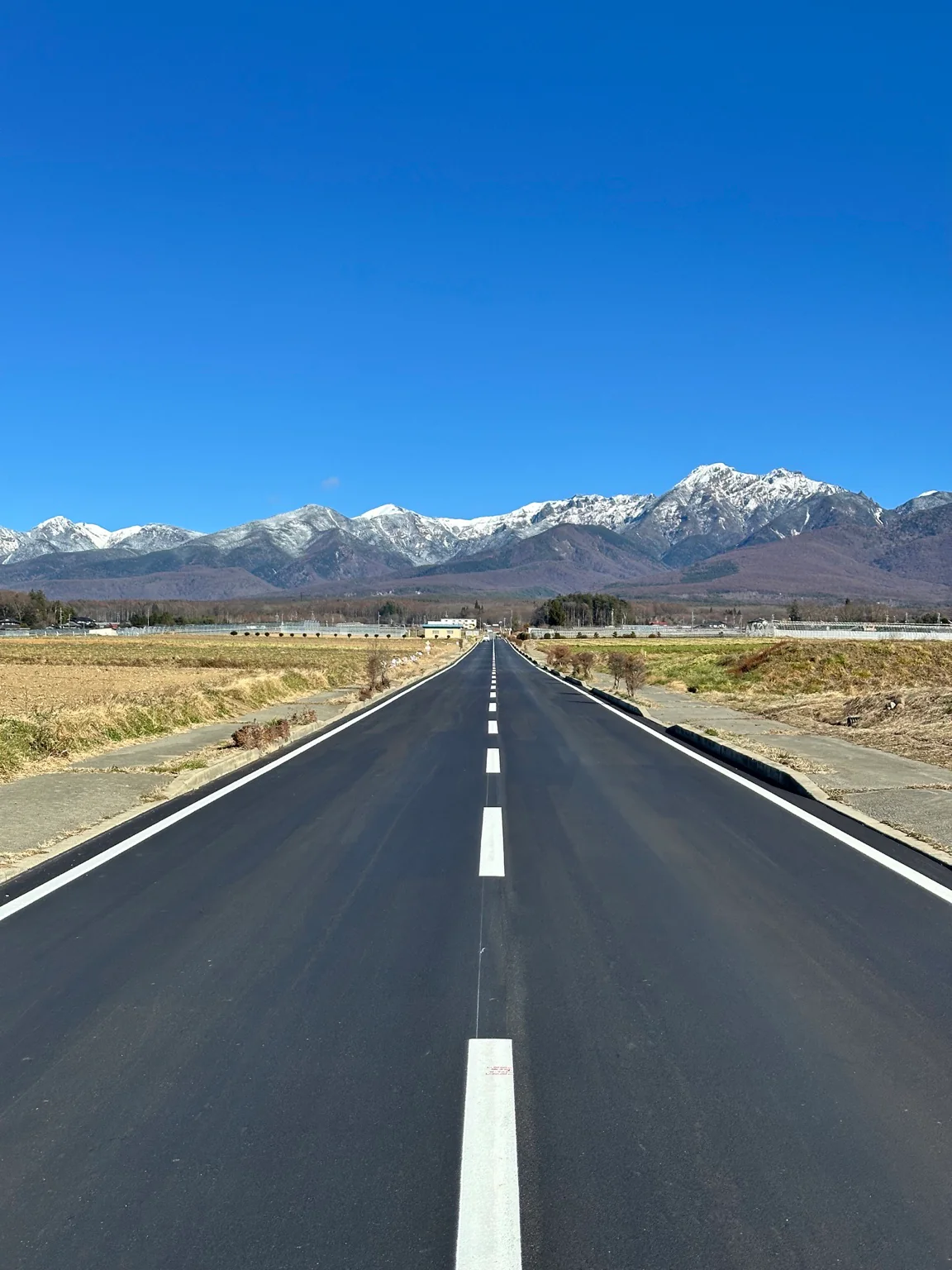 冬の八ヶ岳へ続く道