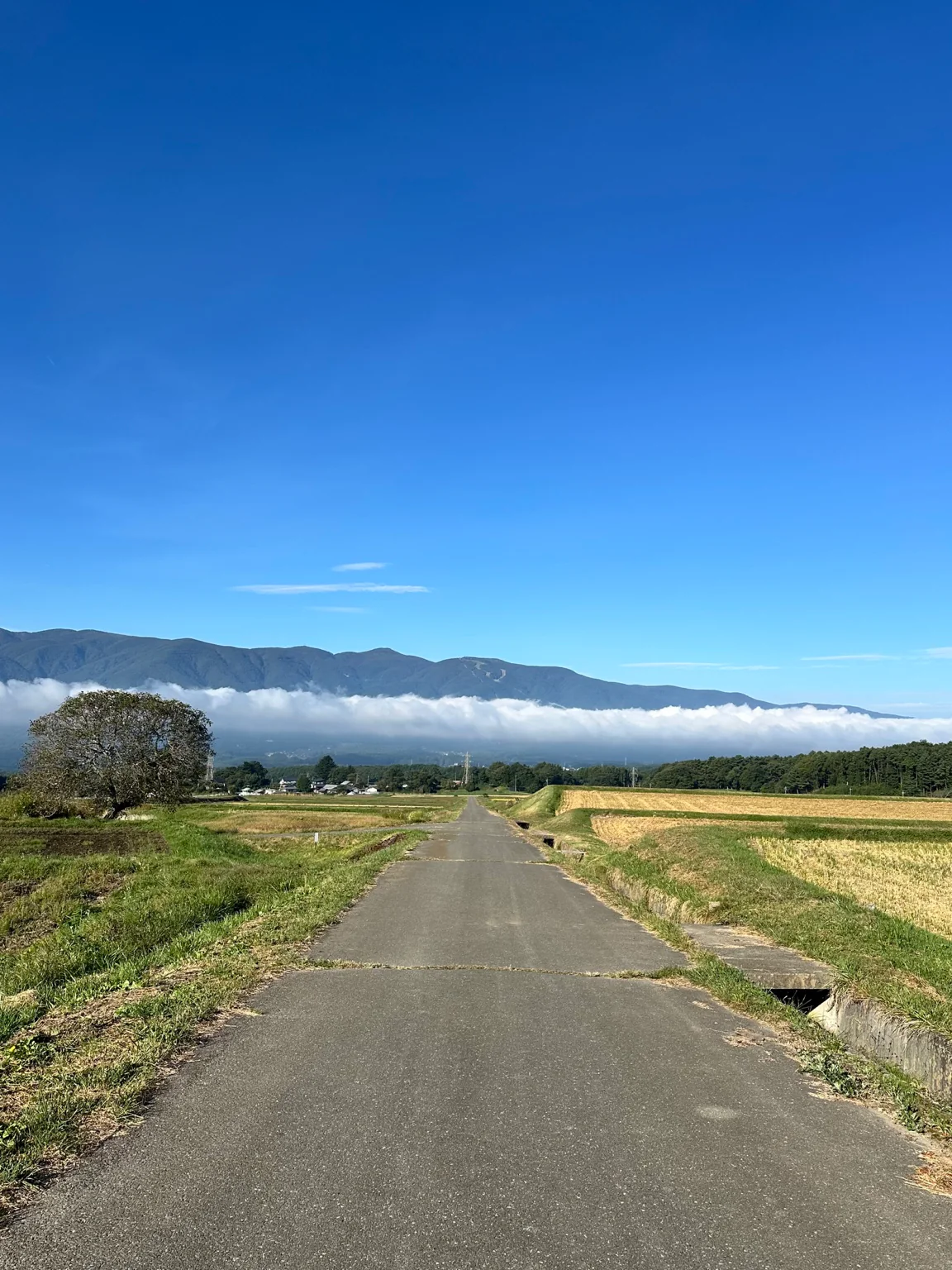 田園の道の先に連なる山並み