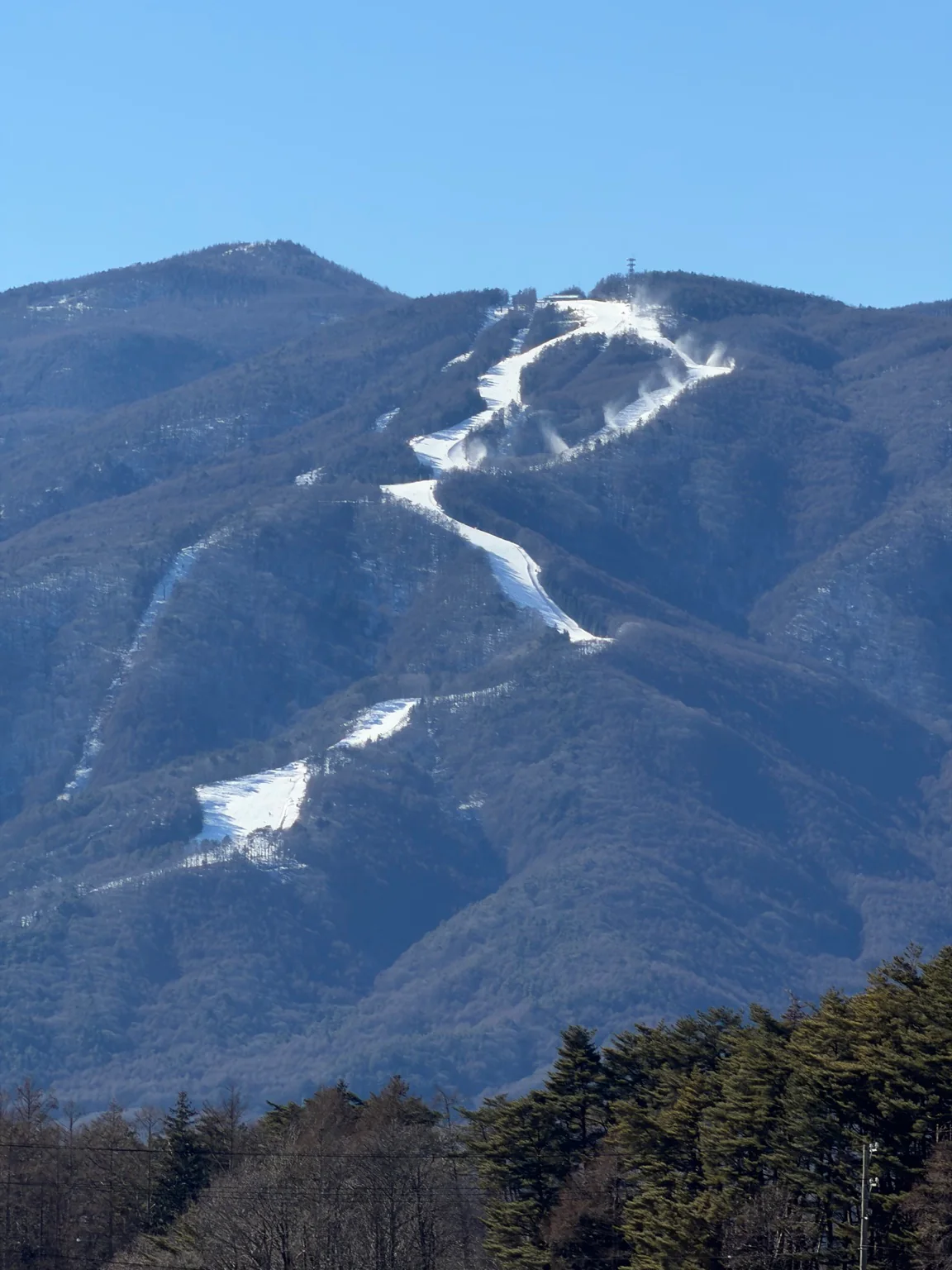 雪をまとった富士見パノラマリゾート