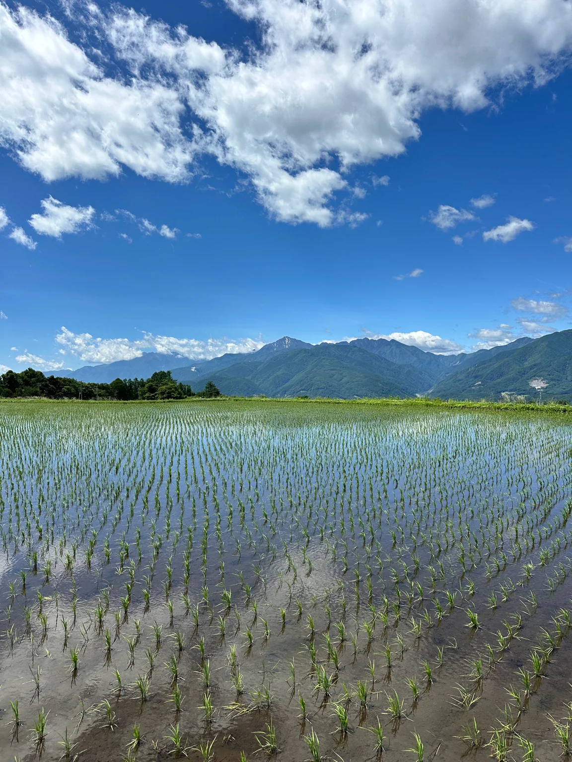 甲斐駒ヶ岳