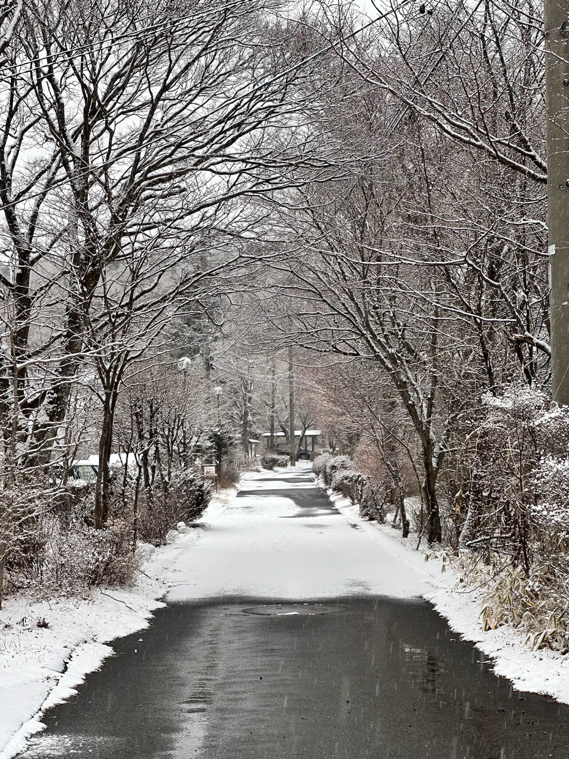 雪に包まれたペンションビレッジの道
