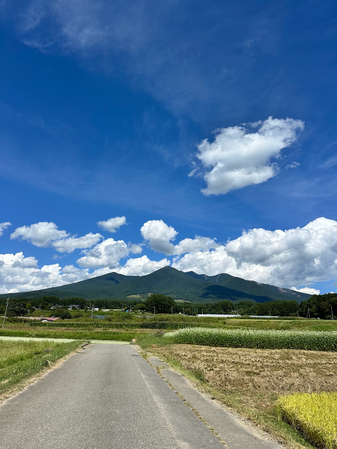 夏空の下に広がる八ヶ岳と高原の畑