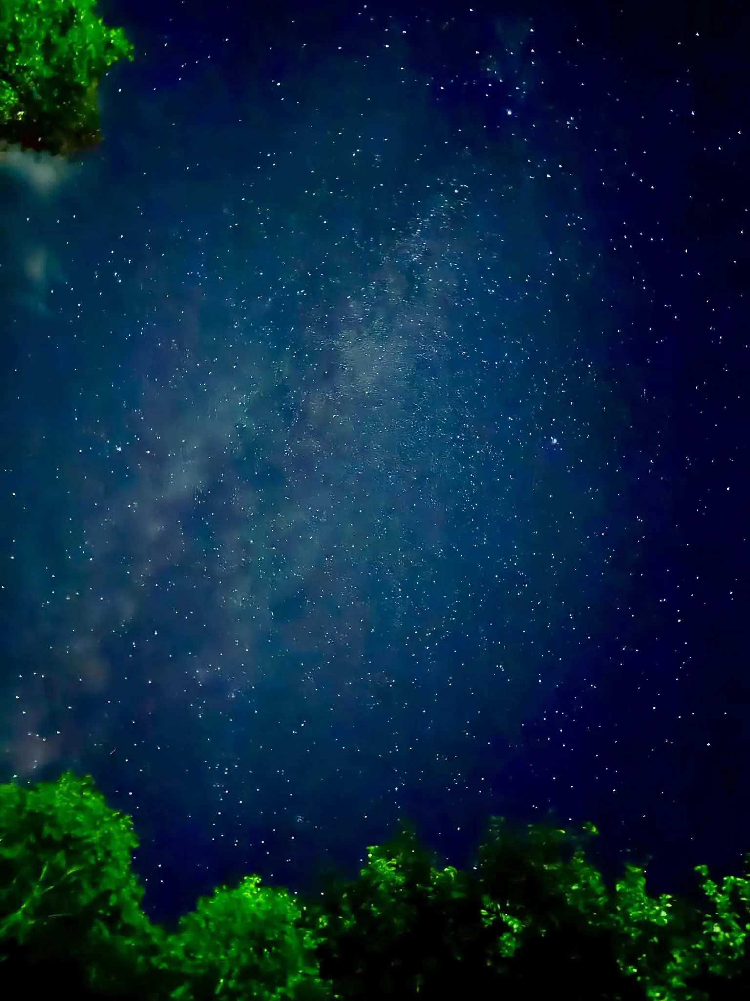 コテージ前から見上げる満天の星空