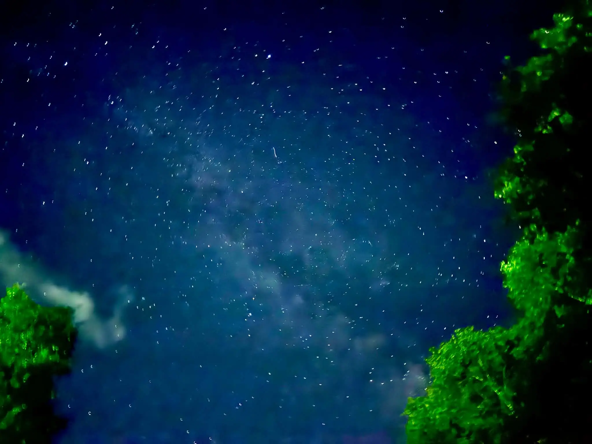 コテージ前の木立と星空