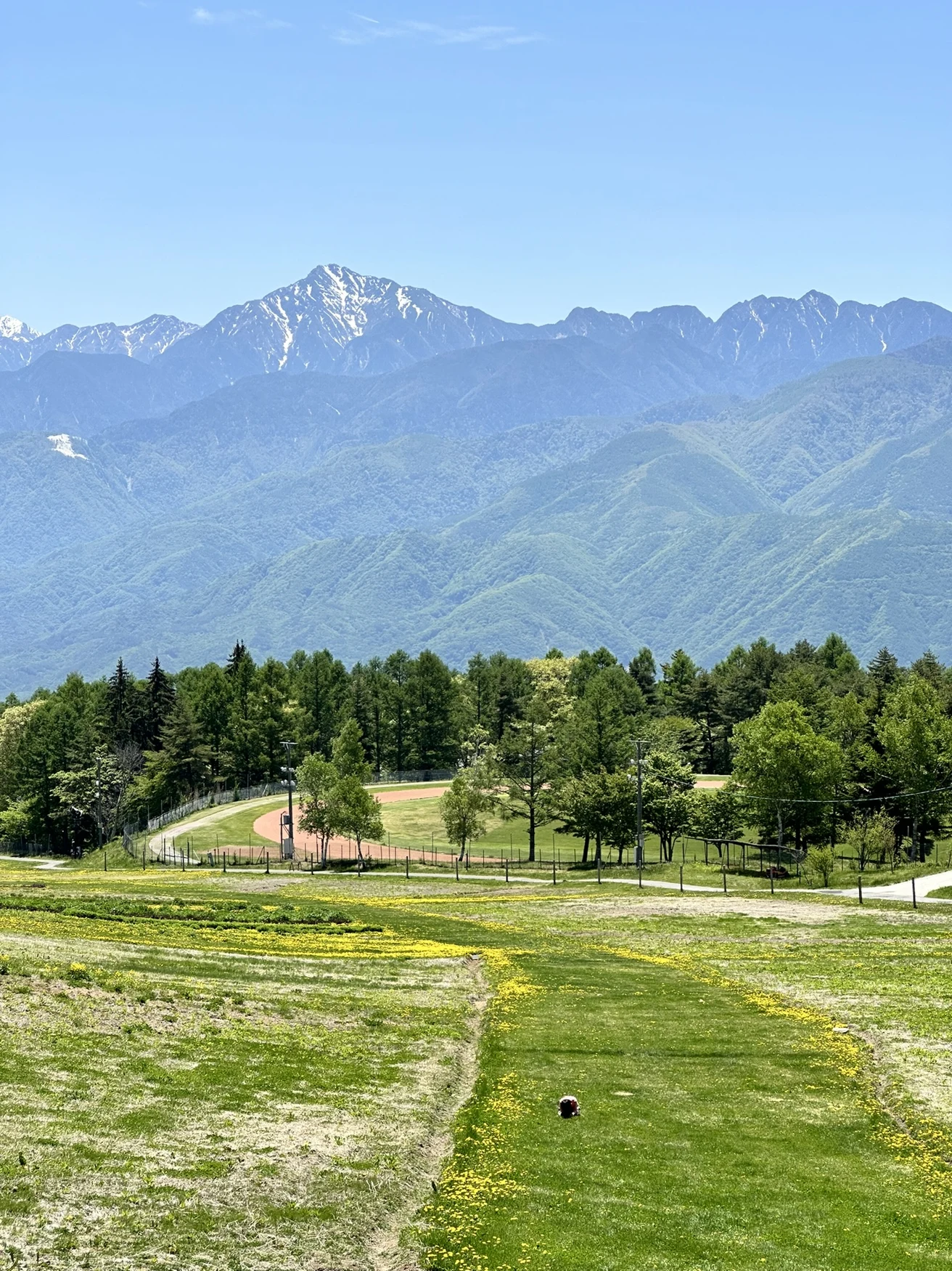 新緑の富士見高原と山々